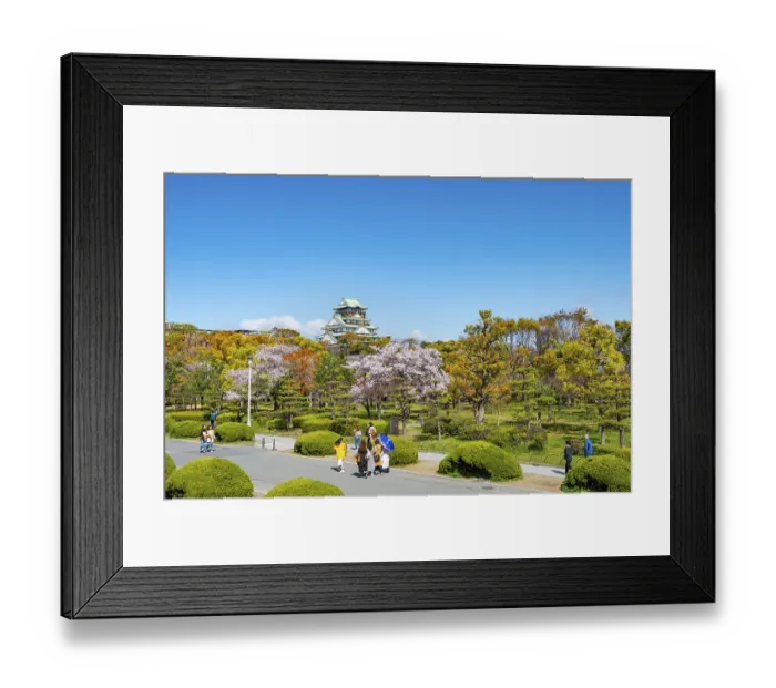 Framed Print : Osaka castle with blooming cherry trees in the park