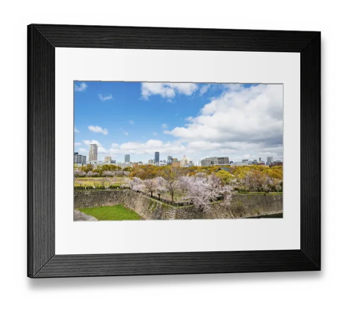 Framed Print : City view with skyscrapers and park on castle wall with cherry blossoms