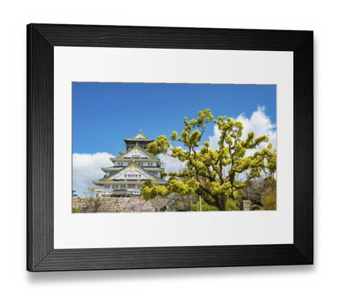 Framed Print : Osaka castle among trees in the park Framed Print : Osaka castle among trees in the park