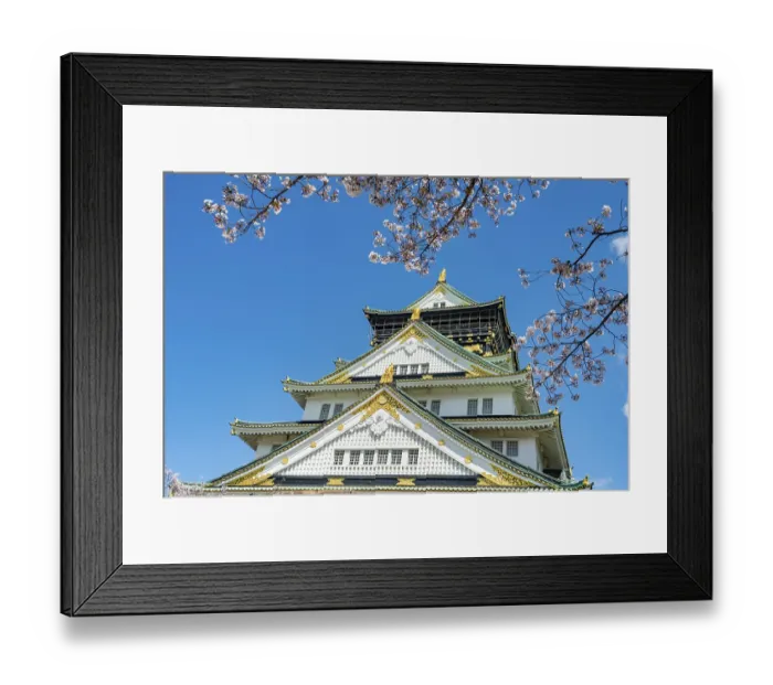 Framed Print : Osaka castle with blooming cherry trees in the park