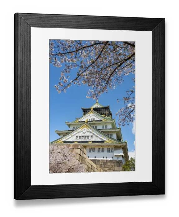Framed Print : Osaka castle with blooming cherry trees in the park
