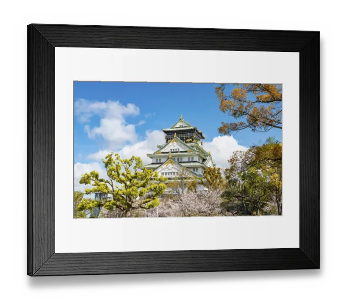 Framed Print : Osaka castle with blooming cherry trees in the park