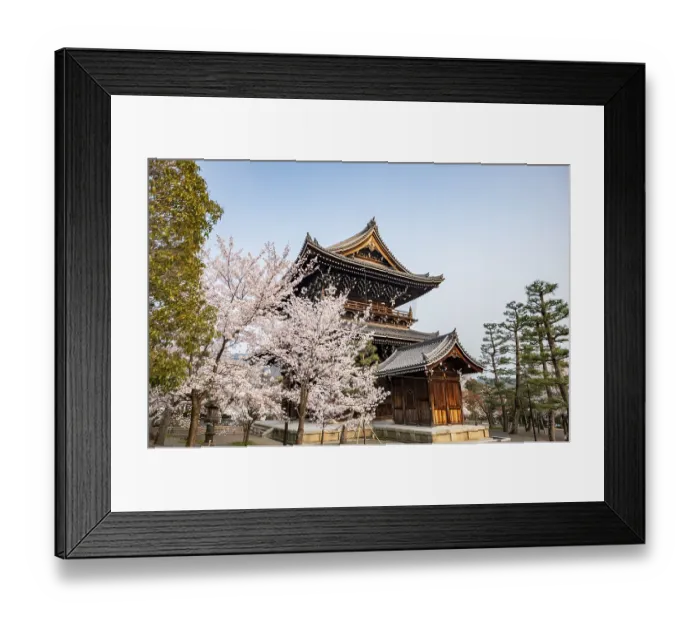 Framed Print : Sanmon Gate and blooming cherry trees