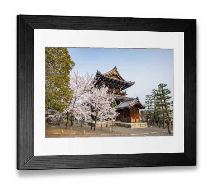 Framed Print : Sanmon Gate and blooming cherry trees Framed Print : Sanmon Gate and blooming cherry trees