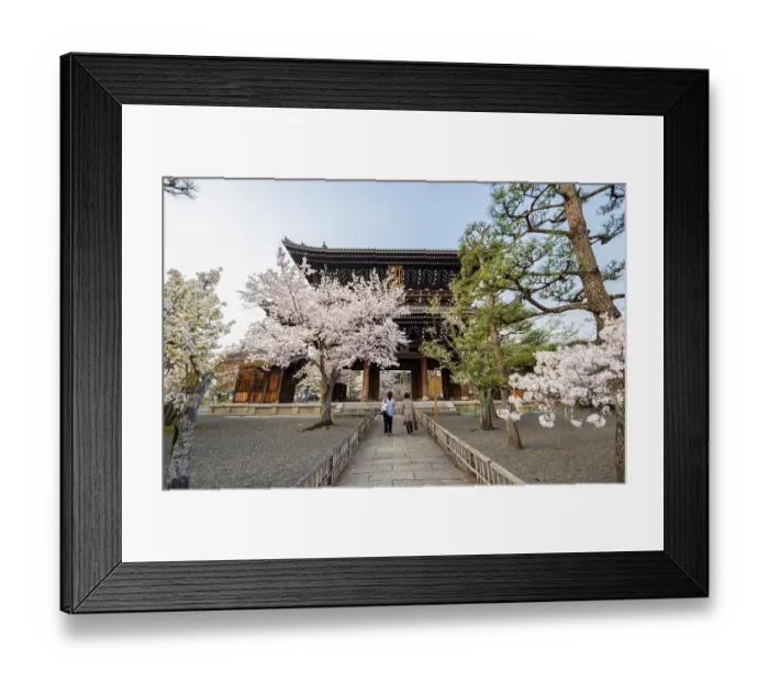 Framed Print : Sanmon Gate and blooming cherry trees