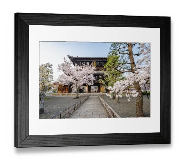 Framed Print : Sanmon Gate and blooming cherry trees Framed Print : Sanmon Gate and blooming cherry trees