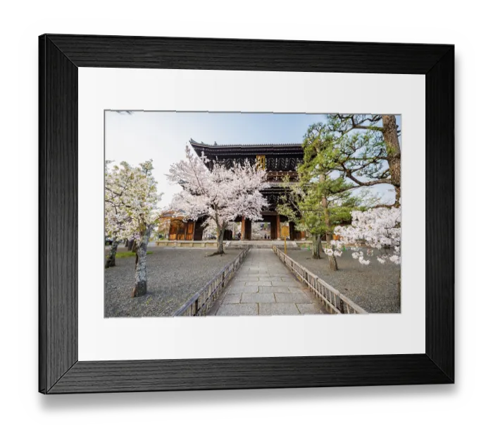 Framed Print : Sanmon Gate and blooming cherry trees Framed Print : Sanmon Gate and blooming cherry trees