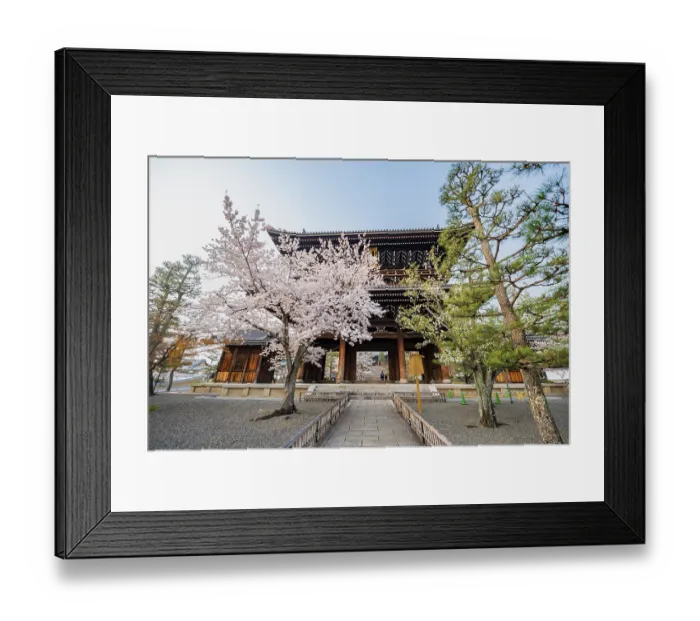 Framed Print : Sanmon Gate and blooming cherry trees