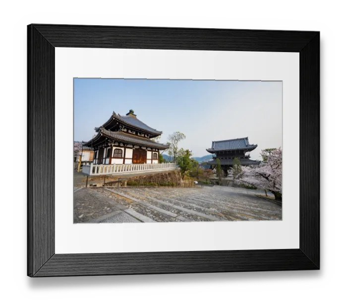 Framed Print : Nokotsudo and Sanmon Gate in the evening light with blooming cherry trees