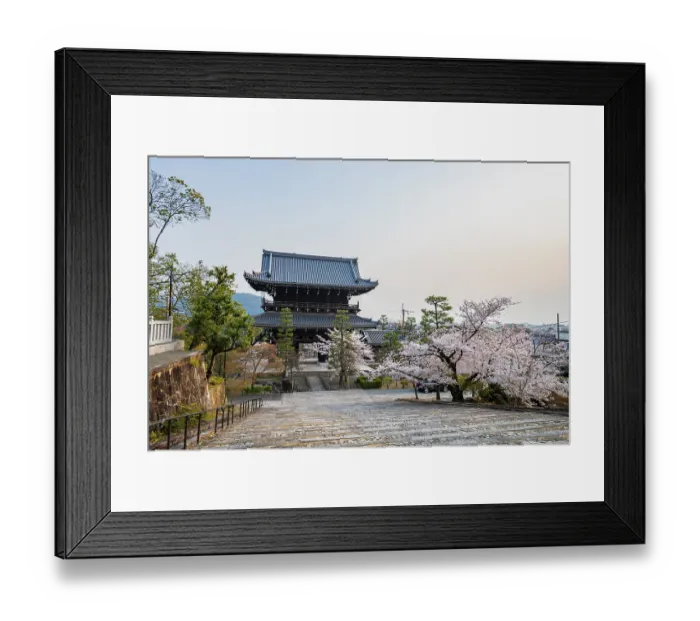 Framed Print : Sanmon Gate in evening light with blooming cherry trees Framed Print : Sanmon Gate in evening light with blooming cherry trees