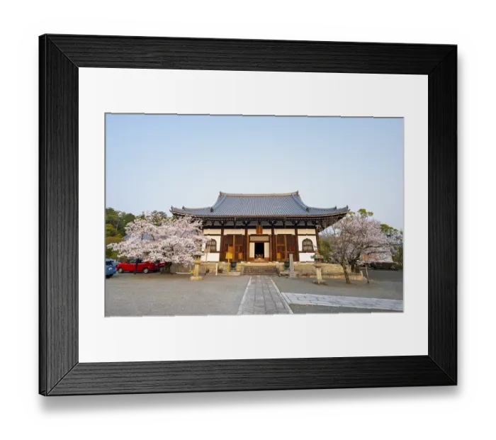 Framed Print : Japanese temple with blooming cherry trees Framed Print : Japanese temple with blooming cherry trees