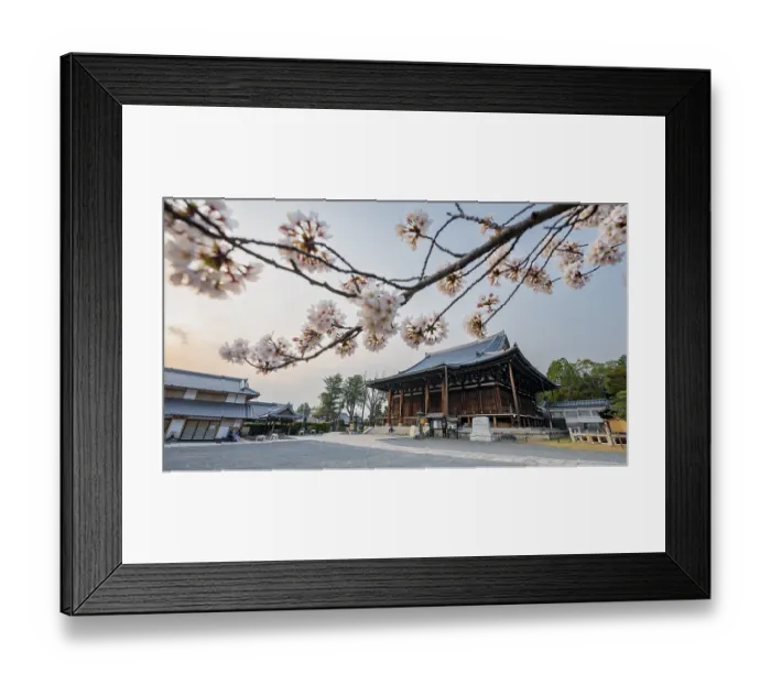 Framed Print : Mie-do, Buddhist Temple and Cherry Blossom Framed Print : Mie-do, Buddhist Temple and Cherry Blossom