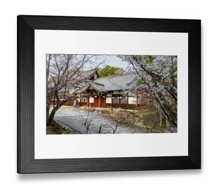 Framed Print : Buddhist temple and cherry blossom