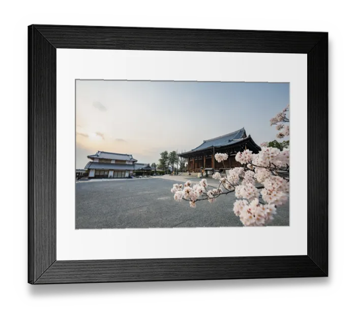 Framed Print : Mie-do and Kaian, Buddhist Temple and Cherry Blossom Framed Print : Mie-do and Kaian, Buddhist Temple and Cherry Blossom