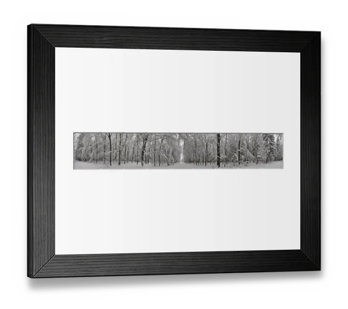 Framed Print : Panorama, dense forest completely covered with snow in winter