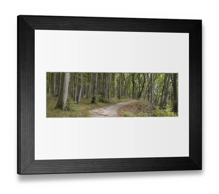 Framed Print : Trail through the beech forest Framed Print : Trail through the beech forest