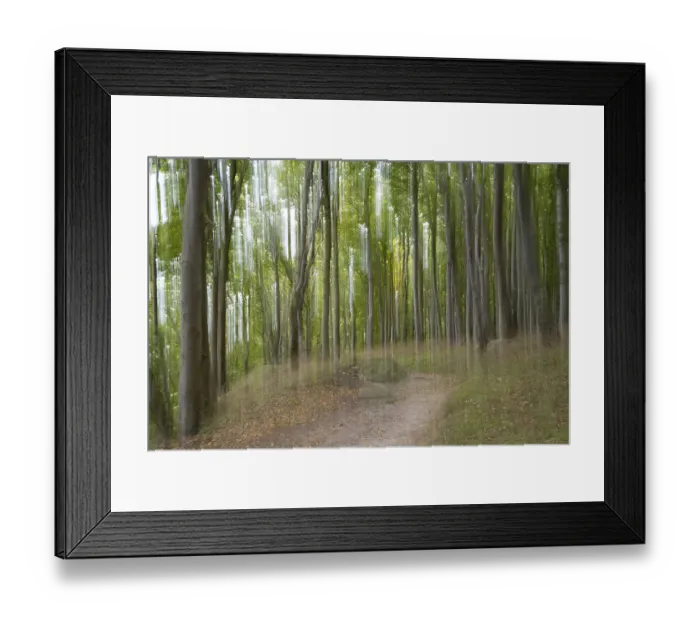 Framed Print : Path through the beech forest, blurred