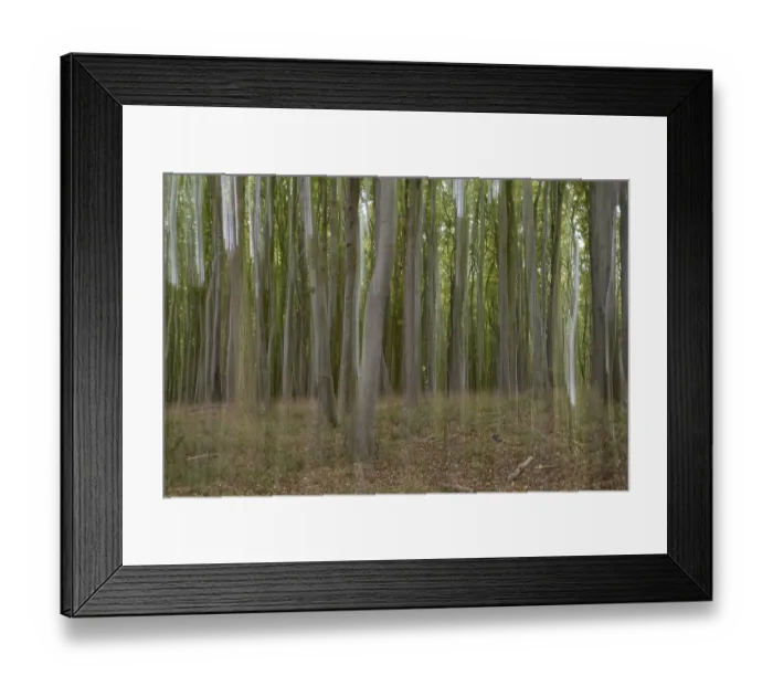 Framed Print : Beech forest blurred, camera swung Framed Print : Beech forest blurred, camera swung