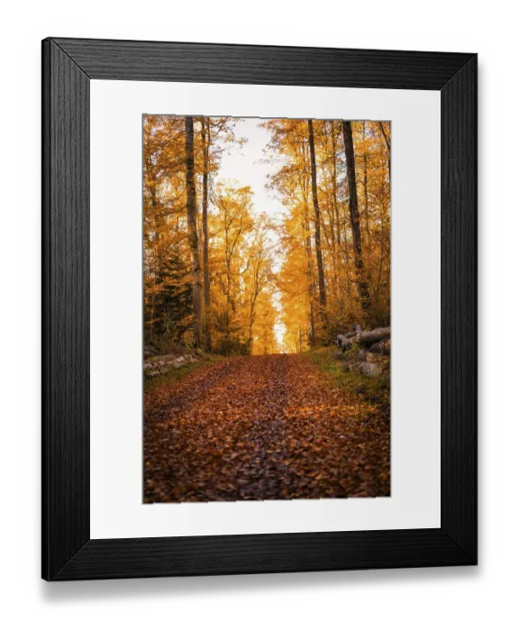 Framed Print : An autumnal forest trail covered by orange leaves