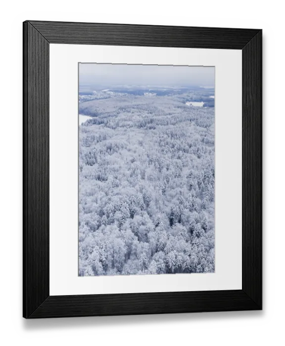 Framed Print : Dense, snowy forest with a view of the surrounding landscape Framed Print : Dense, snowy forest with a view of the surrounding landscape