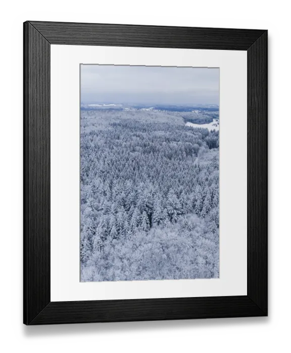 Framed Print : Snowy forest stretches to the horizon under grey sky