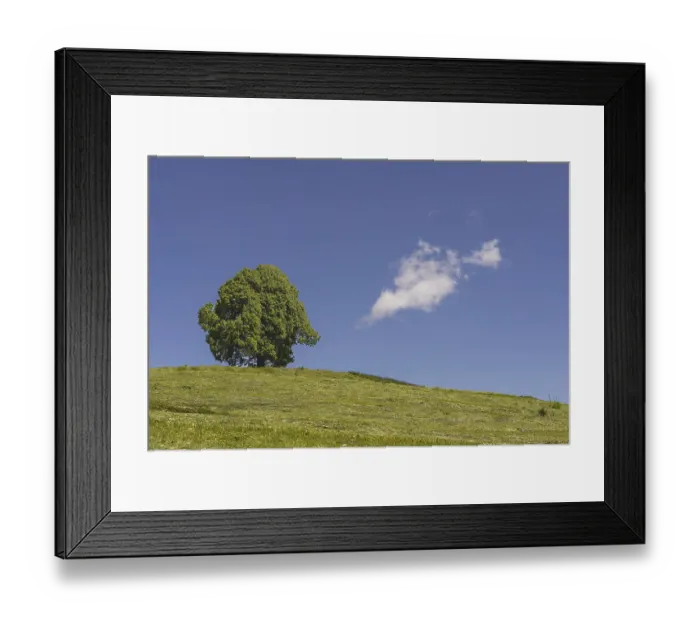 Framed Print : Hay harvest at the Friedenslinde (Tilia) on the Wittelsbacher Hohe