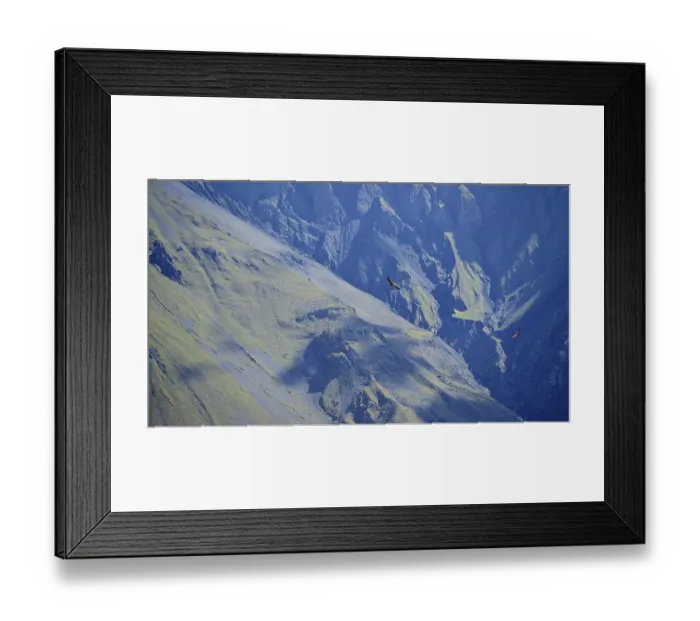 Framed Print : Majestic mountains with two griffon vultures (Gyps fulvus) in flight