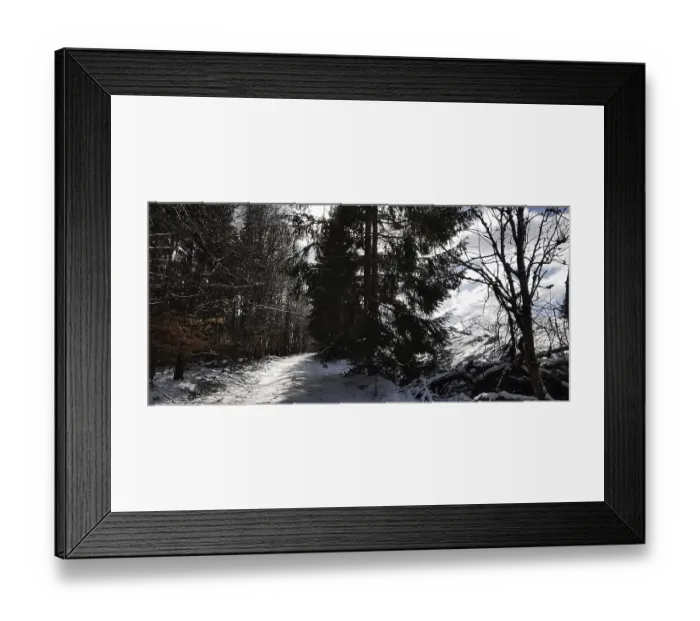 Framed Print : Snowy forest trail under tall trees Framed Print : Snowy forest trail under tall trees