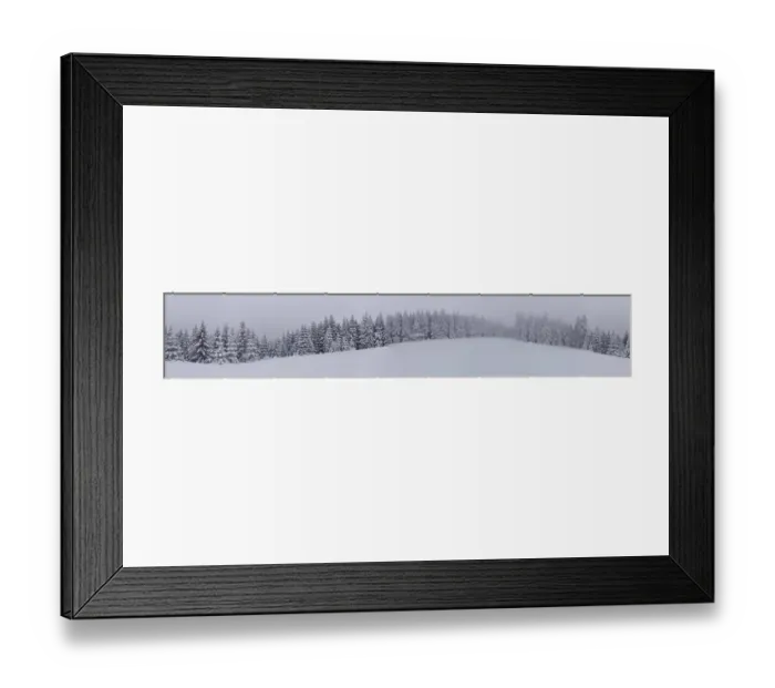 Framed Print : Wide panorama of a dense snow-covered coniferous forest in a foggy winter backdrop