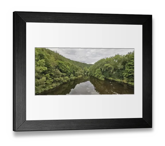 Framed Print : A river flows through a dense forest Framed Print : A river flows through a dense forest