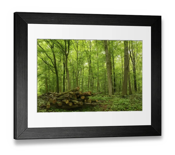 Framed Print : Holzpolter on the edge of a deciduous forest Framed Print : Holzpolter on the edge of a deciduous forest