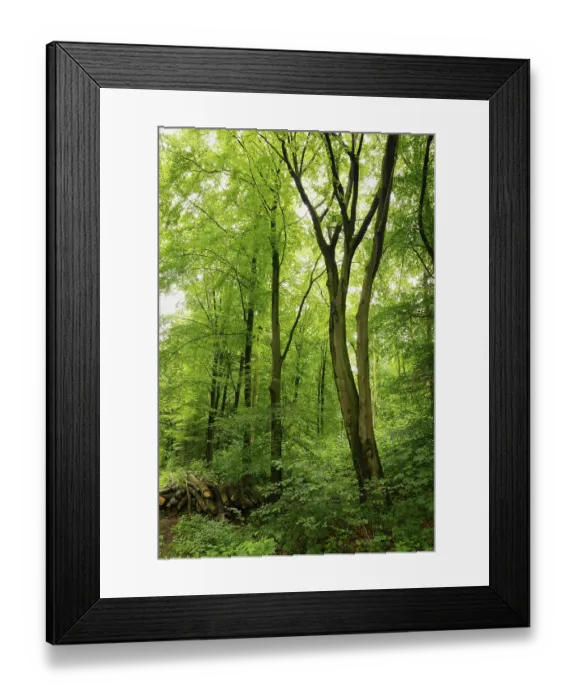 Framed Print : Holzpolter on the edge of a deciduous forest