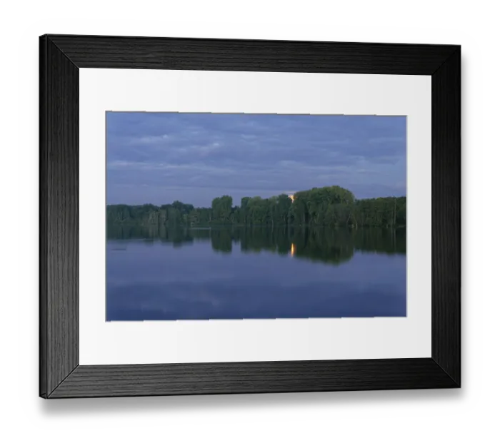 Framed Print : Deciduous forest on the water, Krickenbecker Seen nature park Reserve