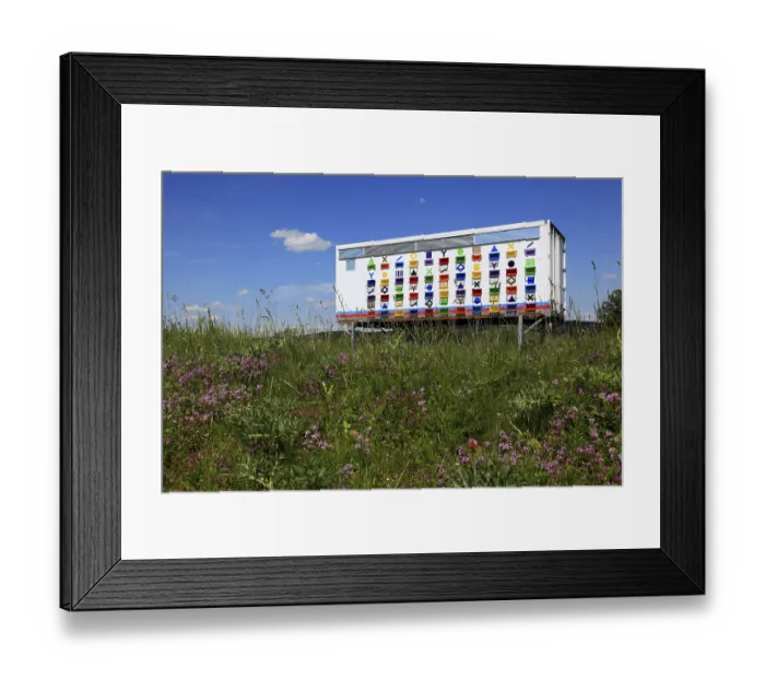 Framed Print : Honey production, beehive, mobile apiary in the Transylvanian countryside
