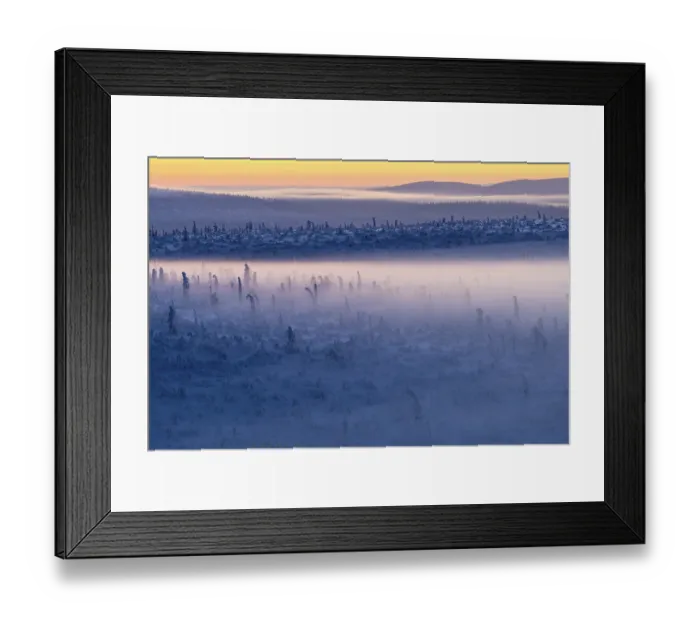 Framed Print : Deep snow-covered spruce forest (Norway spruce)