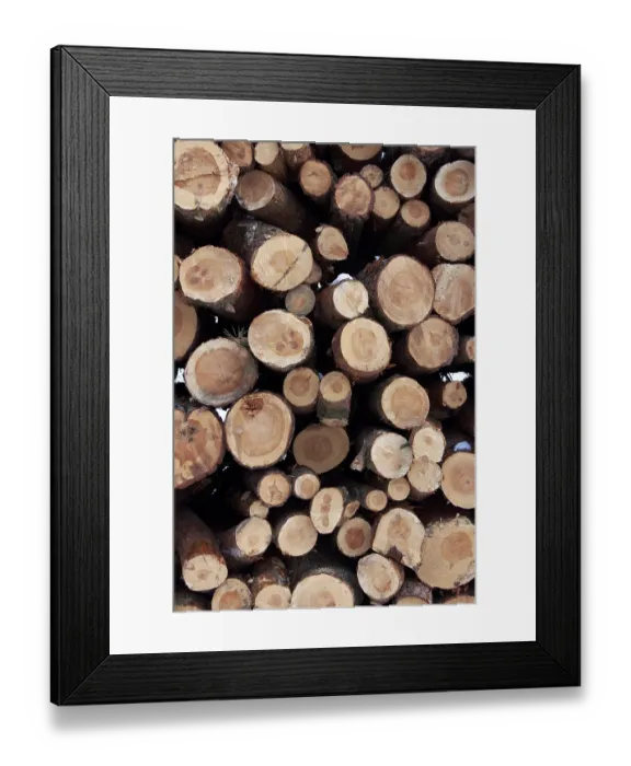 Framed Print : Tall stack of logs in a winter forest Framed Print : Tall stack of logs in a winter forest
