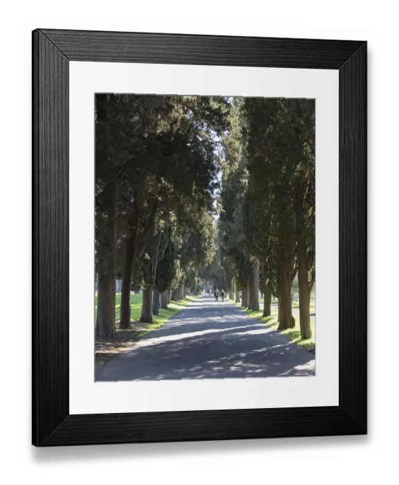 Framed Print : Peaceful, sun-dappled path lined with tall trees near the historic Via Appia in Rome