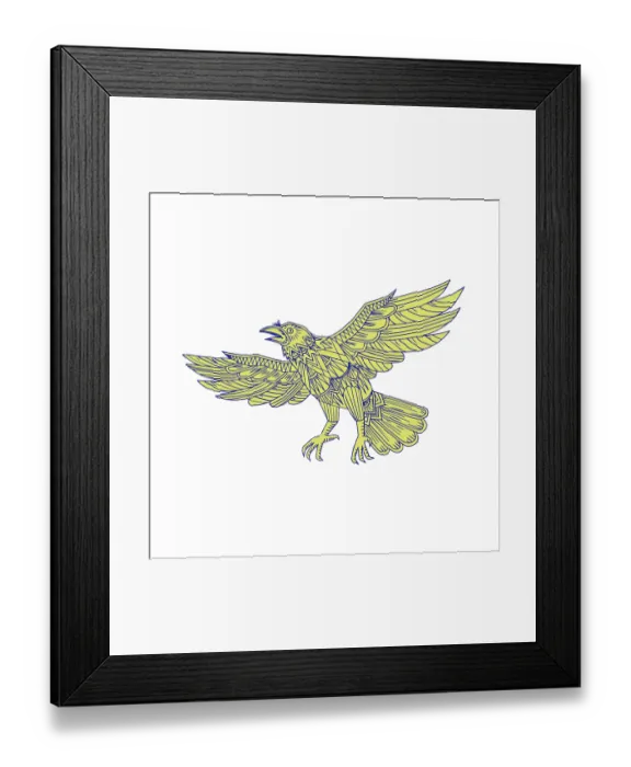 Framed Print : Mandala style illustration of a Common Raven of genus corvus