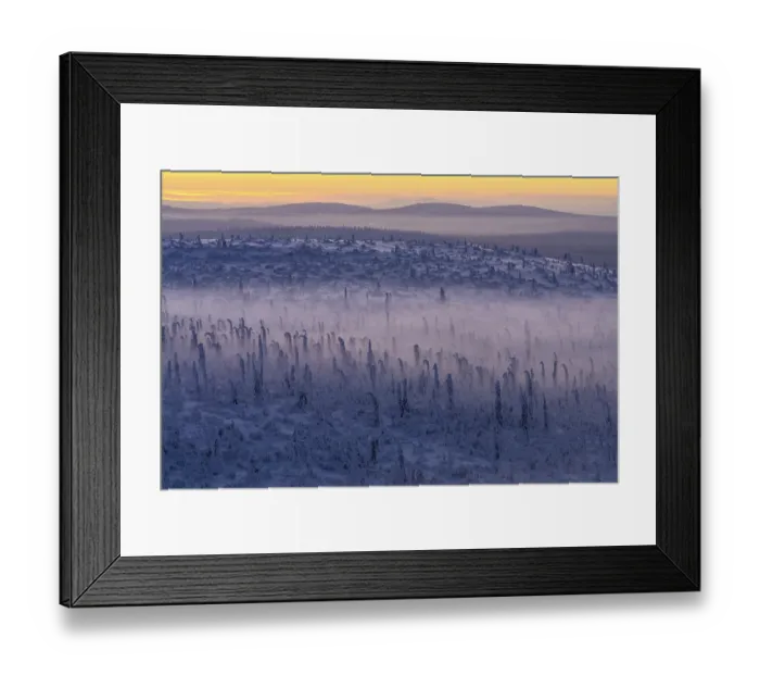 Framed Print : Deep snow-covered spruce forest (Norway spruce)