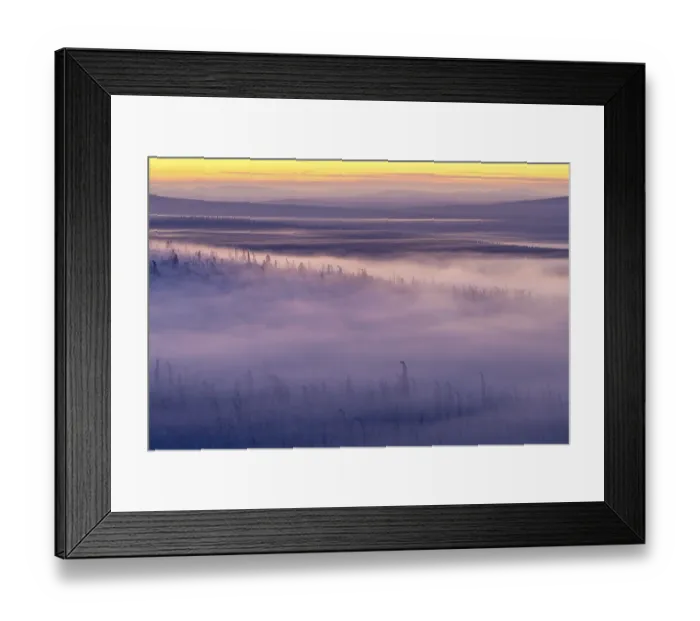 Framed Print : Deep snow-covered spruce forest (Norway spruce) Framed Print : Deep snow-covered spruce forest (Norway spruce)