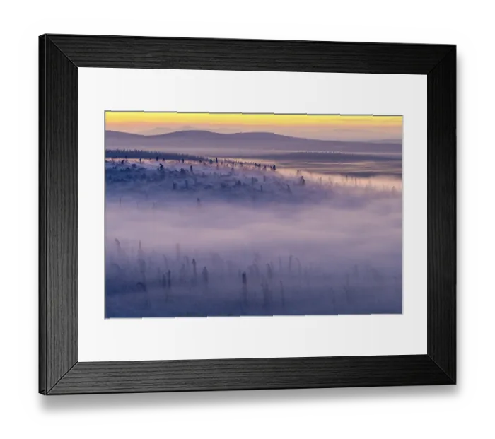Framed Print : Deep snow-covered spruce forest (Norway spruce)