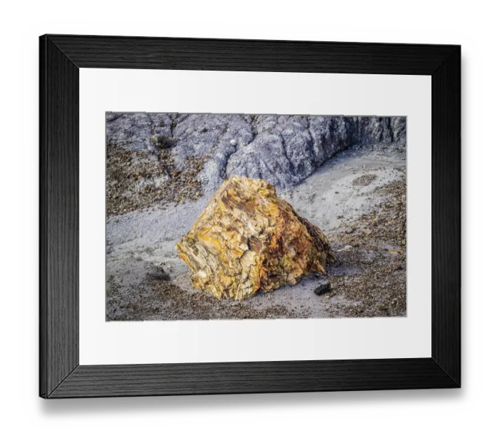 Framed Print : Petrified rocks of late Triassic period in Petrified Forest Nationa Park Framed Print : Petrified rocks of late Triassic period in Petrified Forest Nationa Park