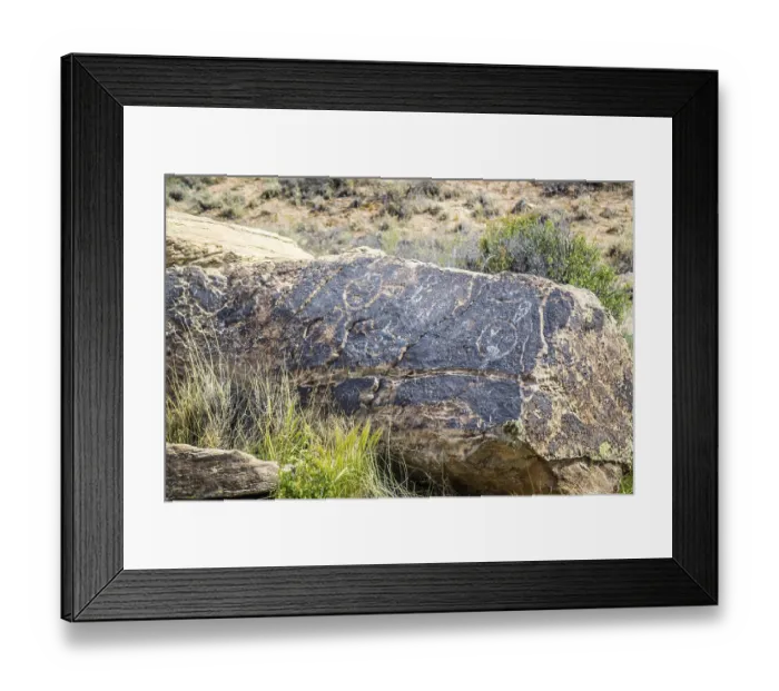 Framed Print : Petrified rocks of late Triassic period in Petrified Forest Nationa Park