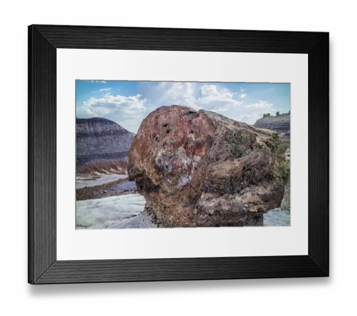 Framed Print : Petrified rocks of late Triassic period in Petrified Forest Nationa Park Framed Print : Petrified rocks of late Triassic period in Petrified Forest Nationa Park