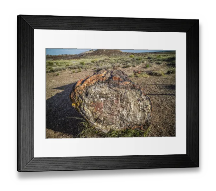Framed Print : A Petrified wood of late Triassic period in Petrified Forest Nationa Park