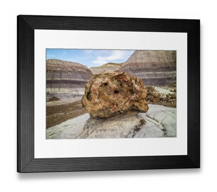 Framed Print : Petrified rocks of late Triassic period in Petrified Forest Nationa Park