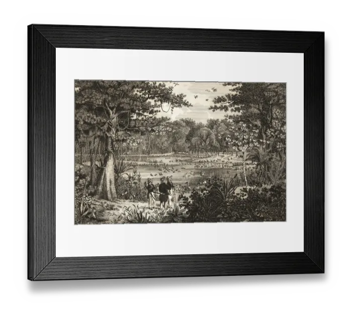 Framed Print : Bird pond on Rio Sao Fransico