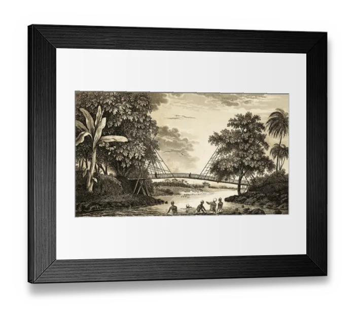 Framed Print : Bamboo cane suspension bridge in the tropics