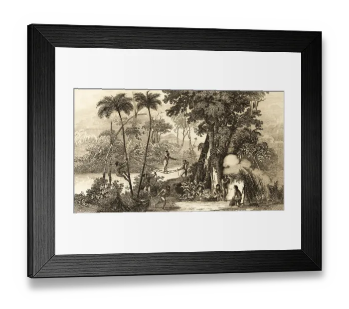 Framed Print : Liana bridge in the tropics, jungle