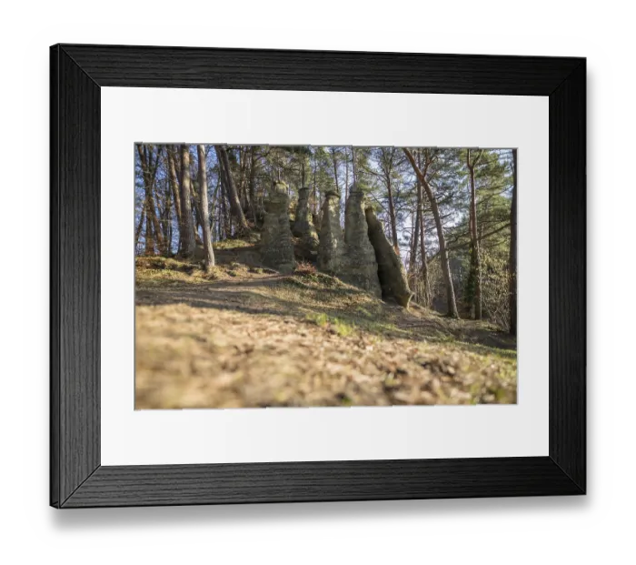Framed Print : Rock pillars in the forest flooded with sunlight